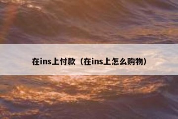 在ins上付款（在ins上怎么购物）