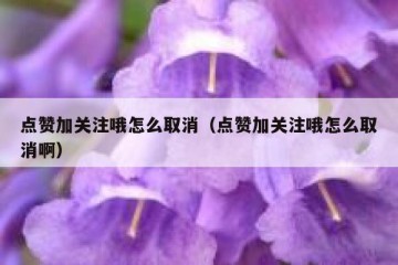 点赞加关注哦怎么取消（点赞加关注哦怎么取消啊）