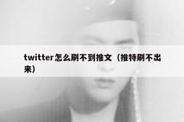 twitter怎么刷不到推文（推特刷不出来）