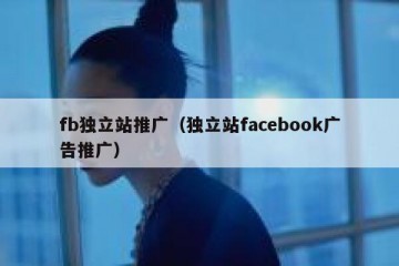 fb独立站推广（独立站facebook广告推广）