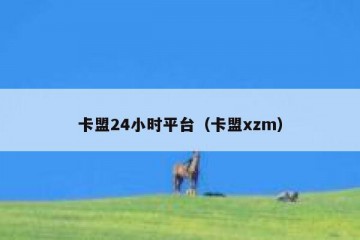 卡盟24小时平台（卡盟xzm）