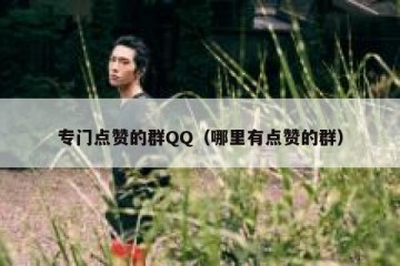 专门点赞的群QQ（哪里有点赞的群）