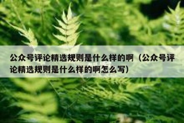 公众号评论精选规则是什么样的啊（公众号评论精选规则是什么样的啊怎么写）