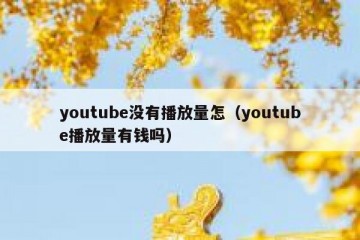 youtube没有播放量怎（youtube播放量有钱吗）