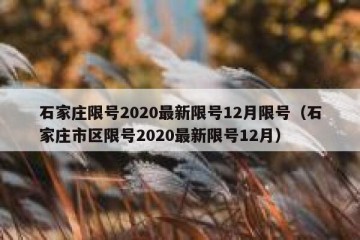 石家庄限号2020最新限号12月限号（石家庄市区限号2020最新限号12月）