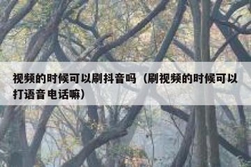 视频的时候可以刷抖音吗（刷视频的时候可以打语音电话嘛）