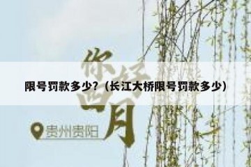 限号罚款多少?（长江大桥限号罚款多少）