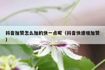 抖音加赞怎么加的快一点呢（抖音快速增加赞）