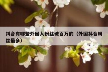 抖音有哪些外国人粉丝破百万的（外国抖音粉丝最多）