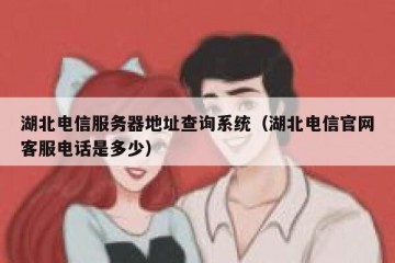 湖北电信服务器地址查询系统（湖北电信官网客服电话是多少）