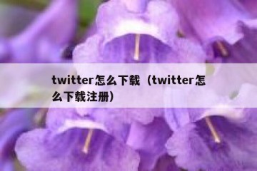 twitter怎么下载（twitter怎么下载注册）