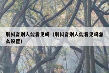 刷抖音别人能看见吗（刷抖音别人能看见吗怎么设置）