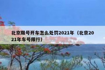北京限号开车怎么处罚2021年（北京2021年车号限行）