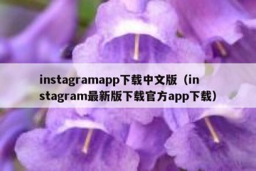 instagramapp下载中文版（instagram最新版下载官方app下载）