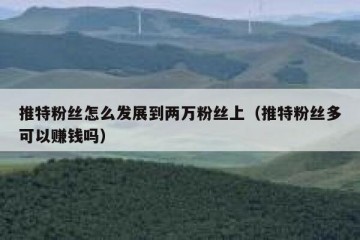 推特粉丝怎么发展到两万粉丝上（推特粉丝多可以赚钱吗）