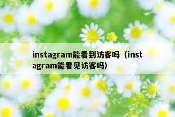instagram能看到访客吗（instagram能看见访客吗）