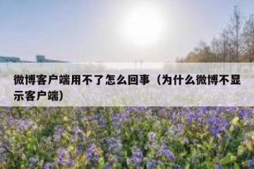 微博客户端用不了怎么回事（为什么微博不显示客户端）