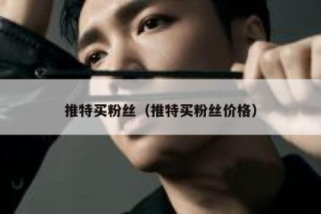 推特买粉丝（推特买粉丝价格）