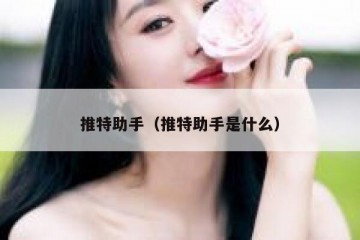 推特助手（推特助手是什么）