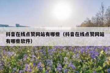 抖音在线点赞网站有哪些（抖音在线点赞网站有哪些软件）