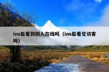ins能看到别人在线吗（ins能看见访客吗）