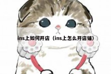 ins上如何开店（ins上怎么开店铺）