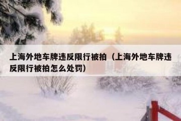 上海外地车牌违反限行被拍（上海外地车牌违反限行被拍怎么处罚）