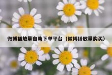 微博播放量自助下单平台（微博播放量购买）