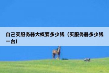 自己买服务器大概要多少钱（买服务器多少钱一台）