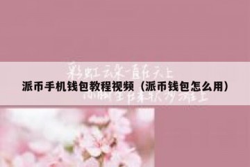 派币手机钱包教程视频（派币钱包怎么用）