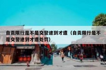 自贡限行是不是交警逮到才遭（自贡限行是不是交警逮到才遭处罚）