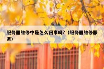 服务器维修中是怎么回事呀?（服务器维修服务）
