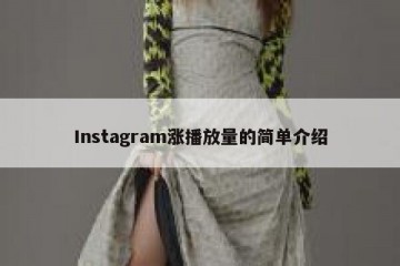 Instagram涨播放量的简单介绍