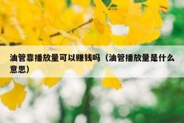 油管靠播放量可以赚钱吗（油管播放量是什么意思）