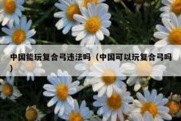 中国能玩复合弓违法吗（中国可以玩复合弓吗）