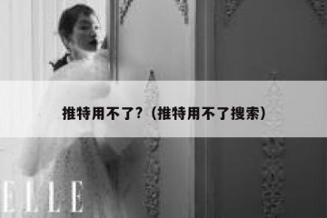 推特用不了?（推特用不了搜索）