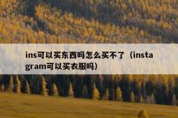 ins可以买东西吗怎么买不了（instagram可以买衣服吗）