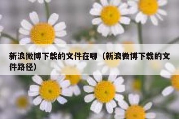 新浪微博下载的文件在哪（新浪微博下载的文件路径）