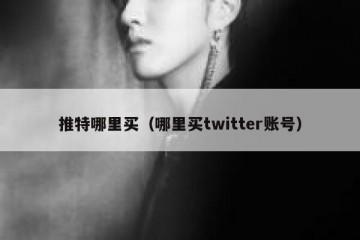 推特哪里买（哪里买twitter账号）