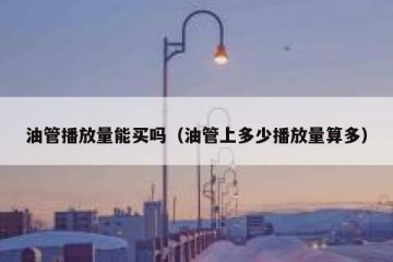 油管播放量能买吗（油管上多少播放量算多）