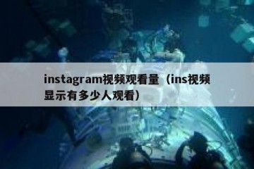 instagram视频观看量（ins视频显示有多少人观看）