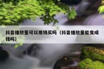 抖音播放量可以用钱买吗（抖音播放量能变成钱吗）