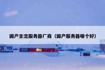 国产主流服务器厂商（国产服务器哪个好）
