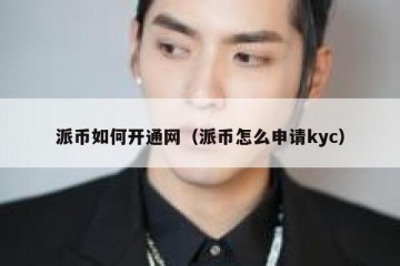 派币如何开通网（派币怎么申请kyc）