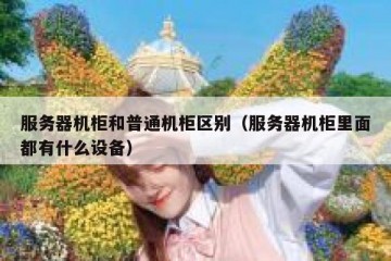 服务器机柜和普通机柜区别（服务器机柜里面都有什么设备）