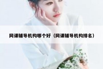网课辅导机构哪个好（网课辅导机构排名）