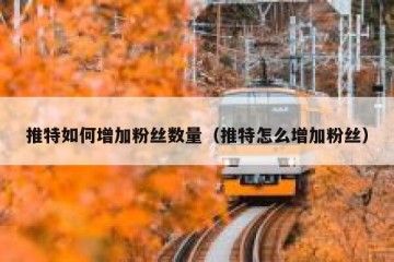 推特如何增加粉丝数量（推特怎么增加粉丝）