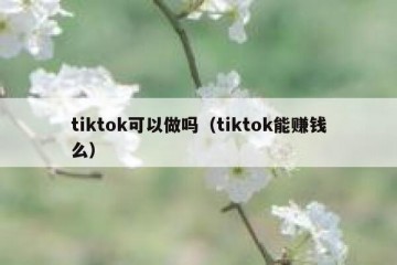 tiktok可以做吗（tiktok能赚钱么）