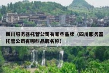四川服务器托管公司有哪些品牌（四川服务器托管公司有哪些品牌名称）