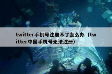 twitter手机号注册不了怎么办（twitter中国手机号无法注册）